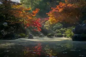 beautiful lake in woodland, ideal for practicing breathwork.