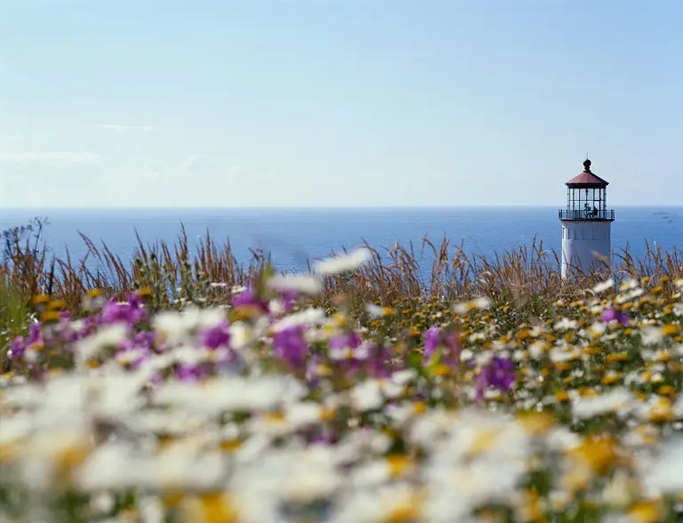 light house and a filed of wild flowers