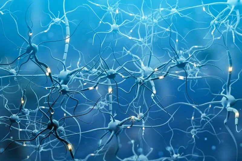 brain neuron connections